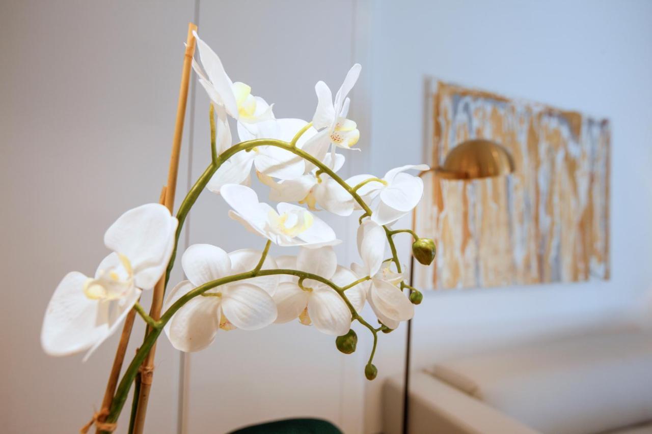 Tirso Suite Madrid Extérieur photo